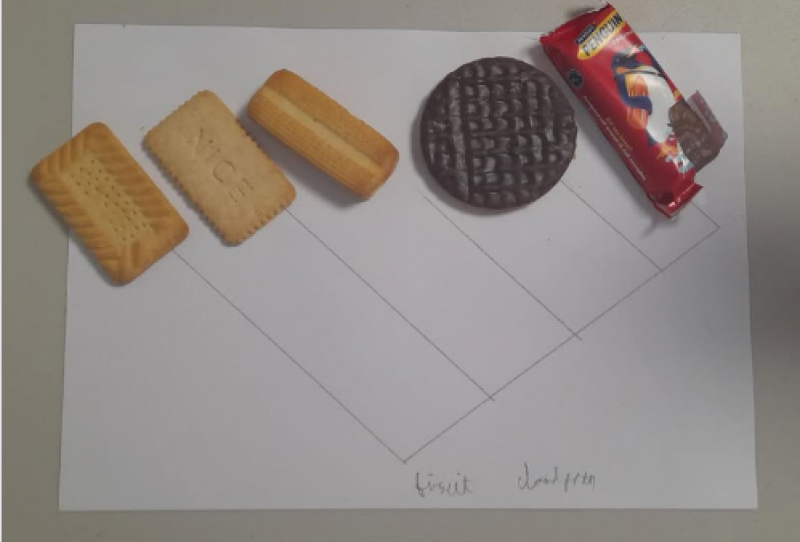 Cladograms